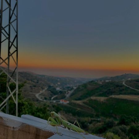 Casa Rural Malaga Monkey Love Con Jacuzzi Iznate 외부 사진